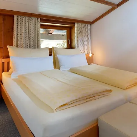 Hinterholzer 3* Scheffau am Wilden Kaiser